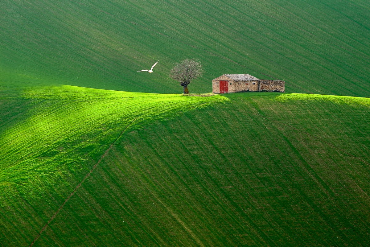 Harmony