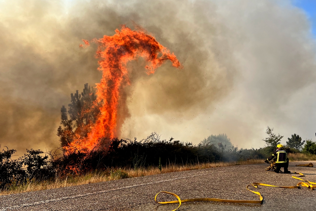 FIRE DRAGON