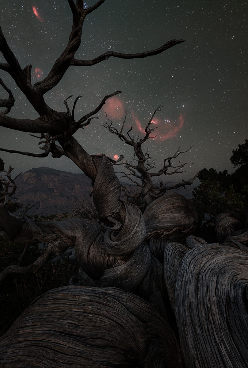 World Night Sky