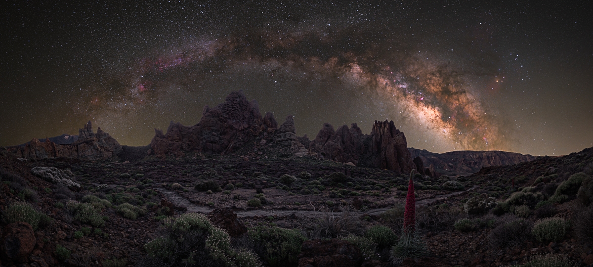 World Night Sky