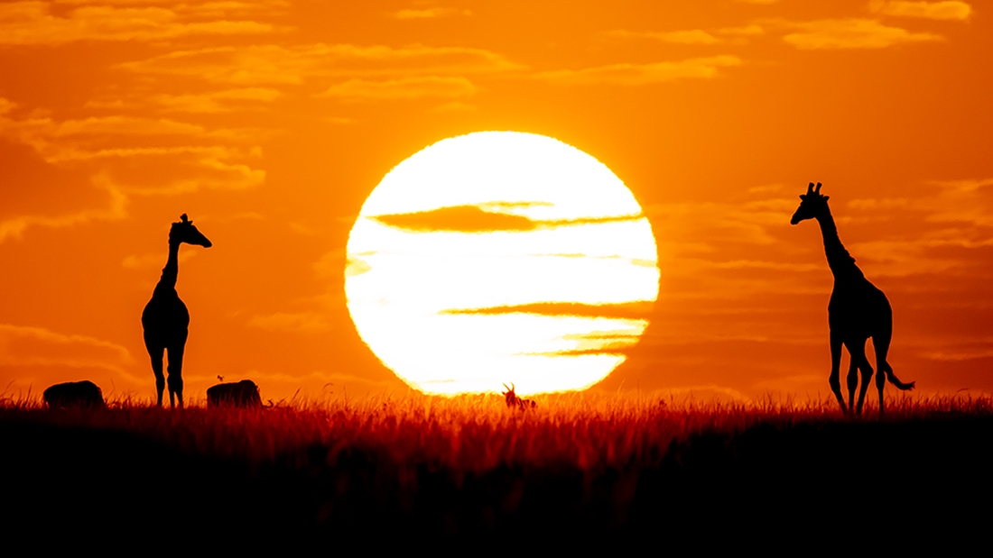 Sunny Side of Life