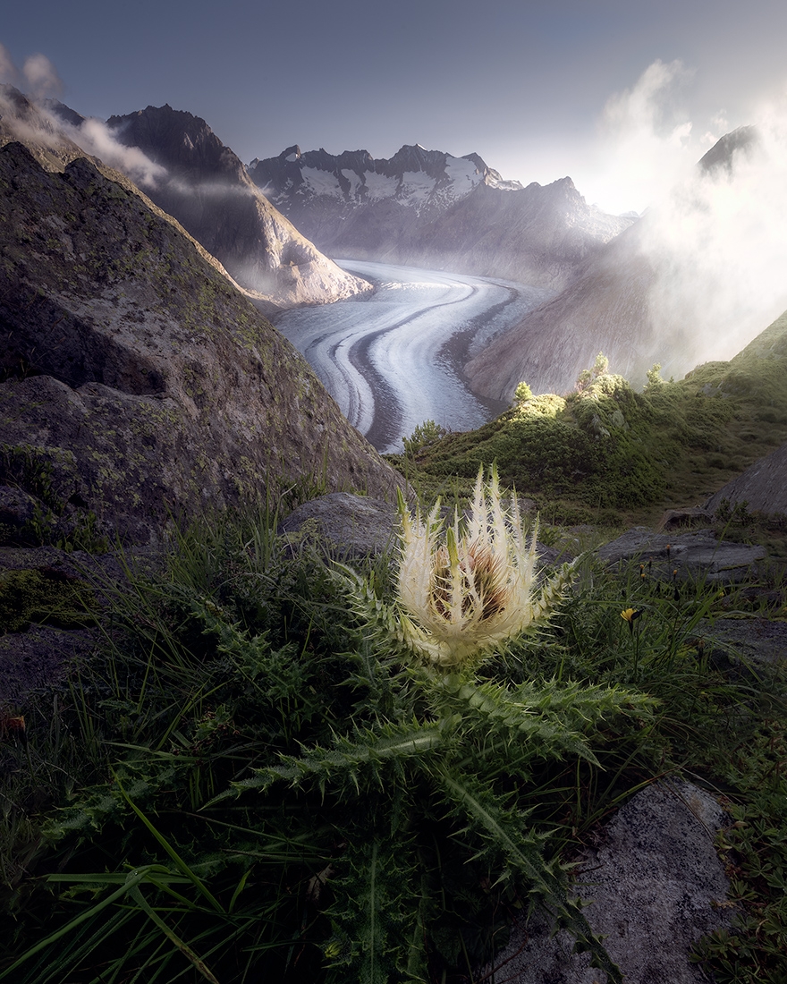 The alps 2