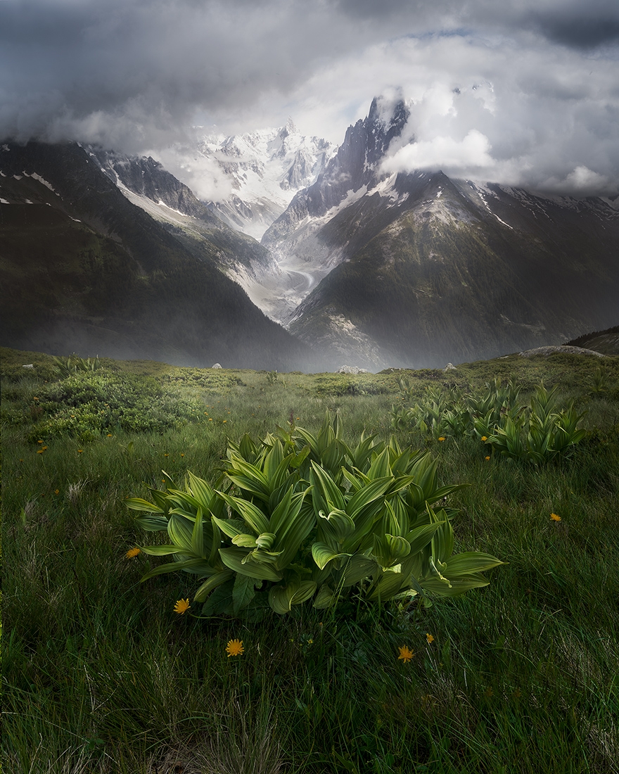 The alps 2