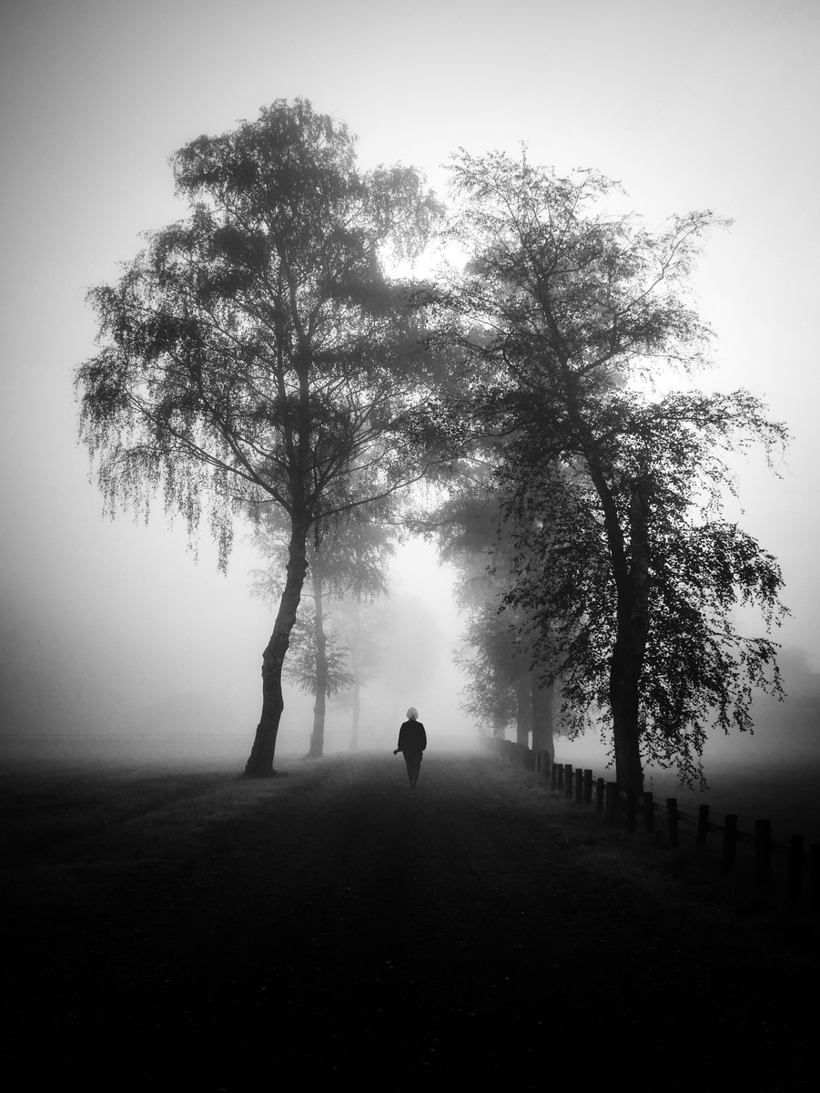 november walk
