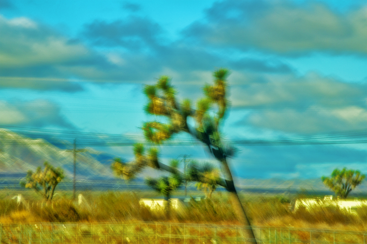 Kinetic Ambiguity Project, Land Series, Vistas Segment, Chapter 1