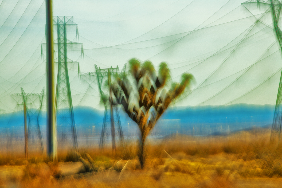 Kinetic Ambiguity Project, Land Series, Vistas Segment, Chapter 1