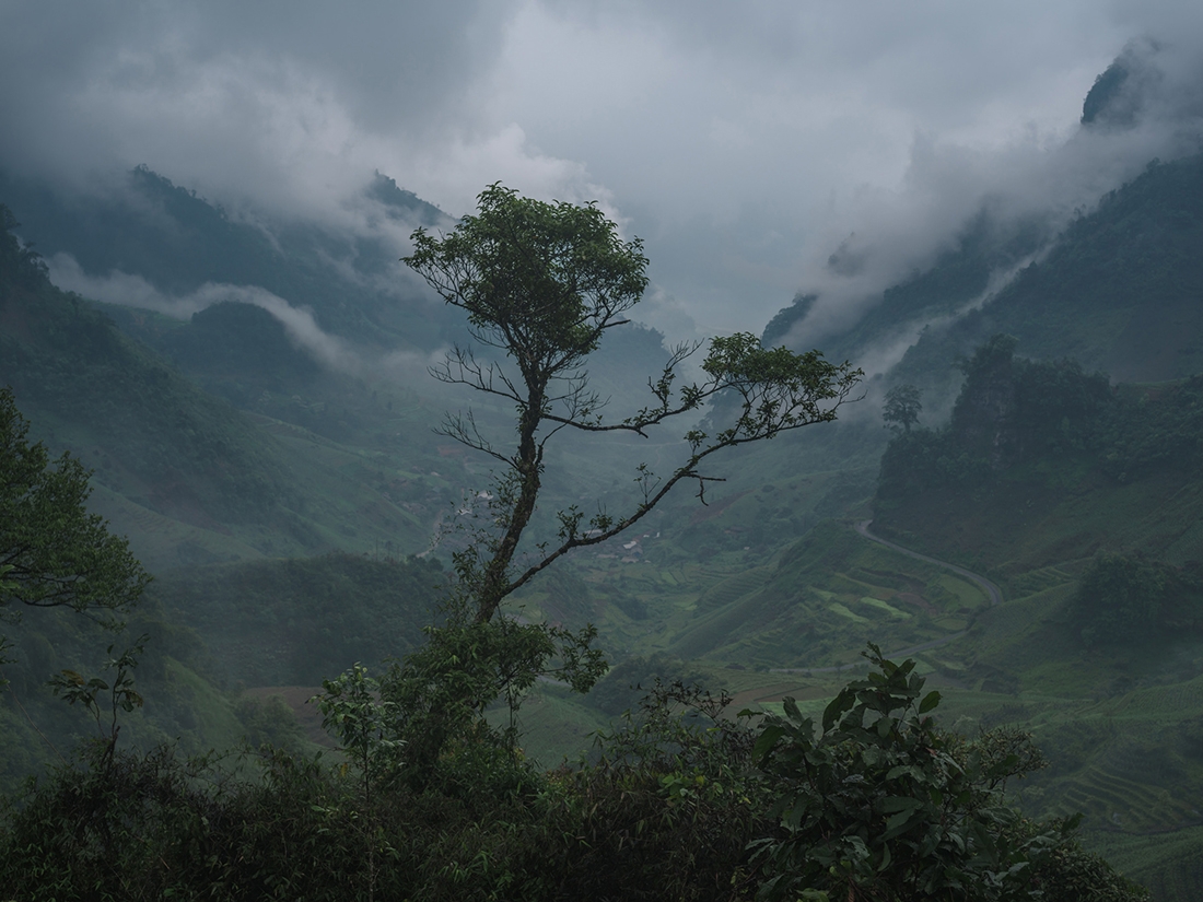 Highlands of Vietnam
