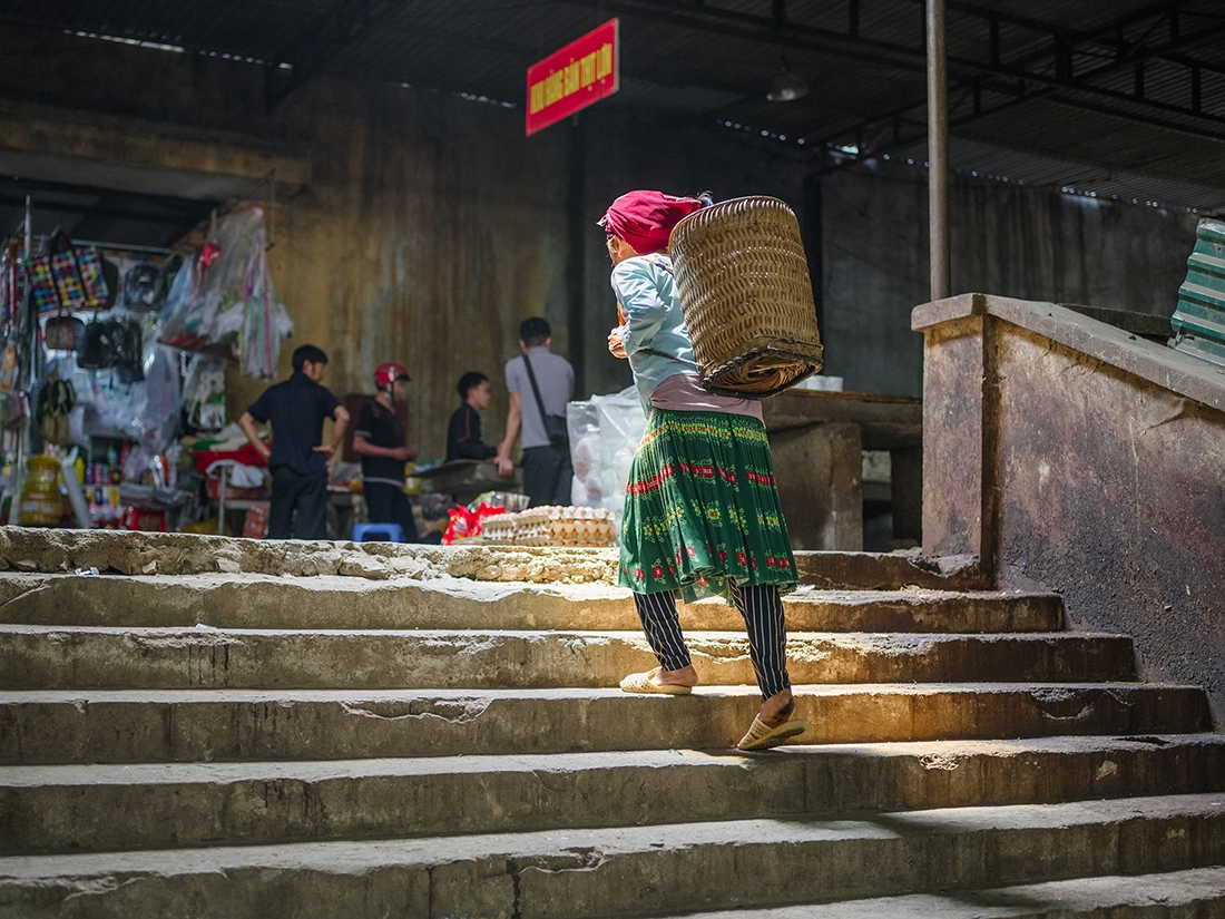 Highlands of Vietnam