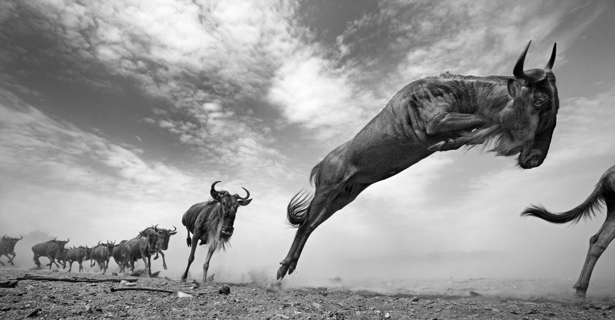 The Great Migration