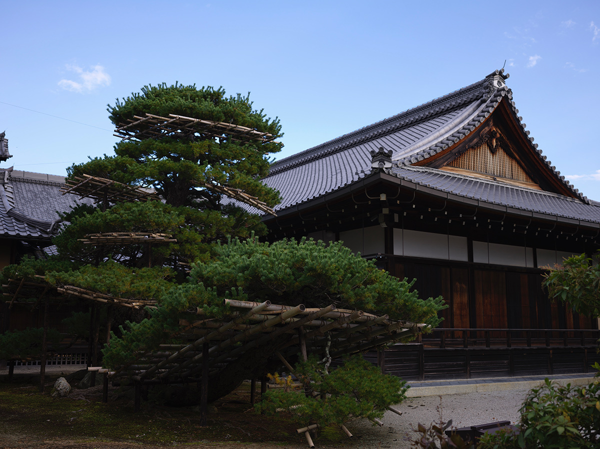Enchanting Kyoto