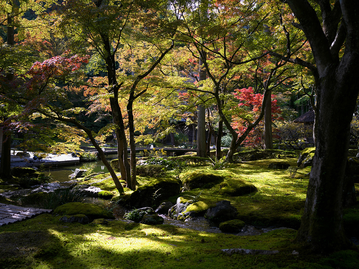 Enchanting Kyoto
