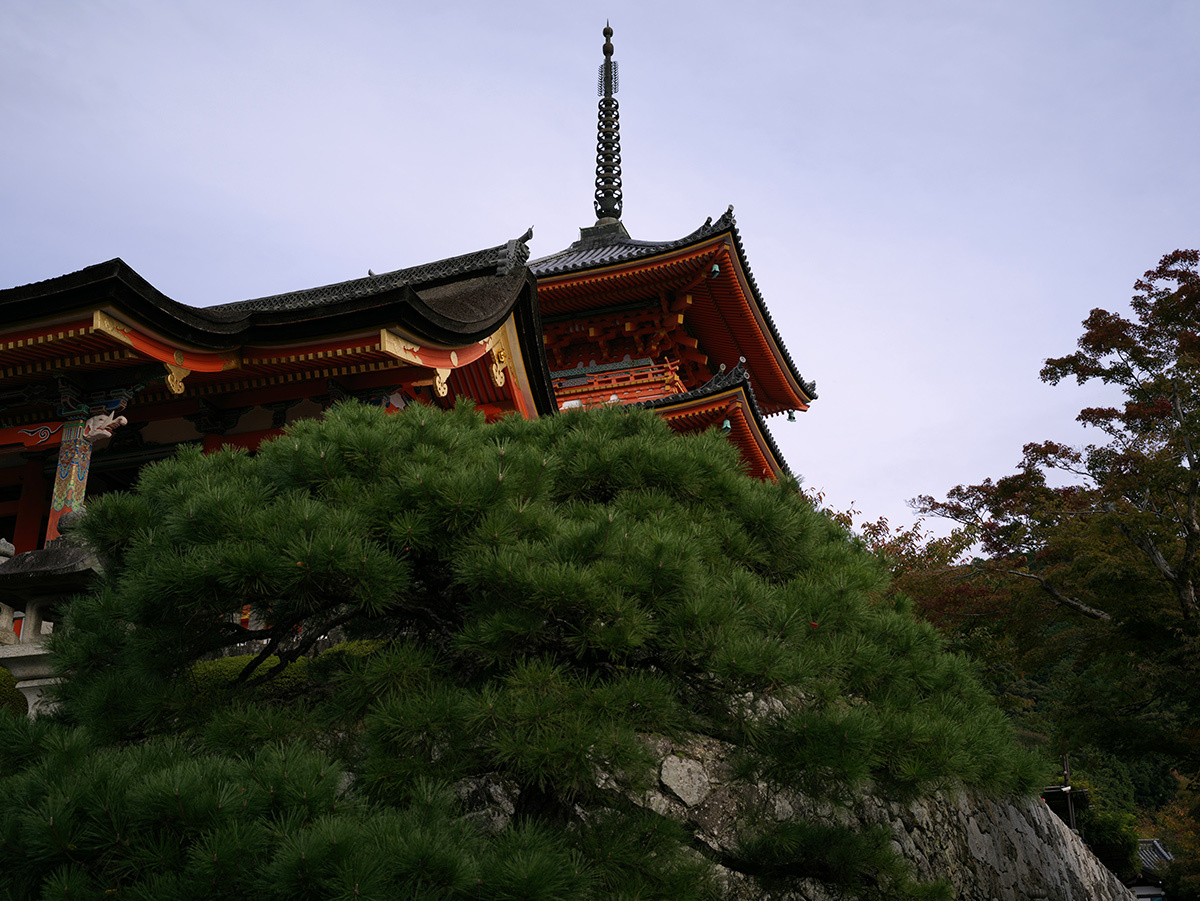 Enchanting Kyoto