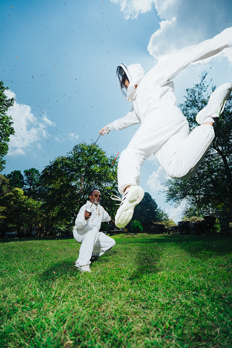 Why must beekeepers fight?