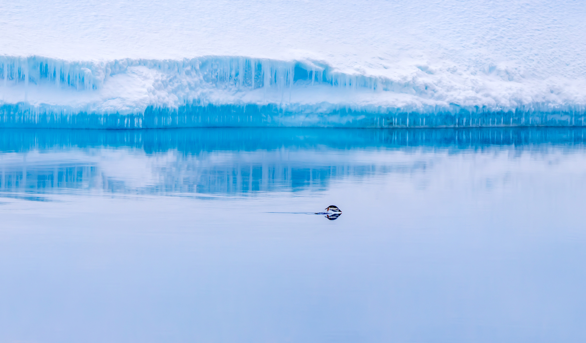 Breaking the Stillness