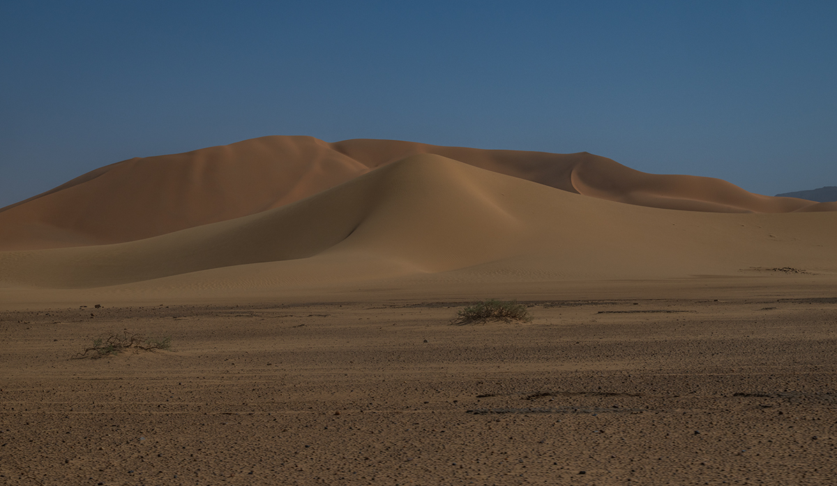Impressions of the desert in Algeria
