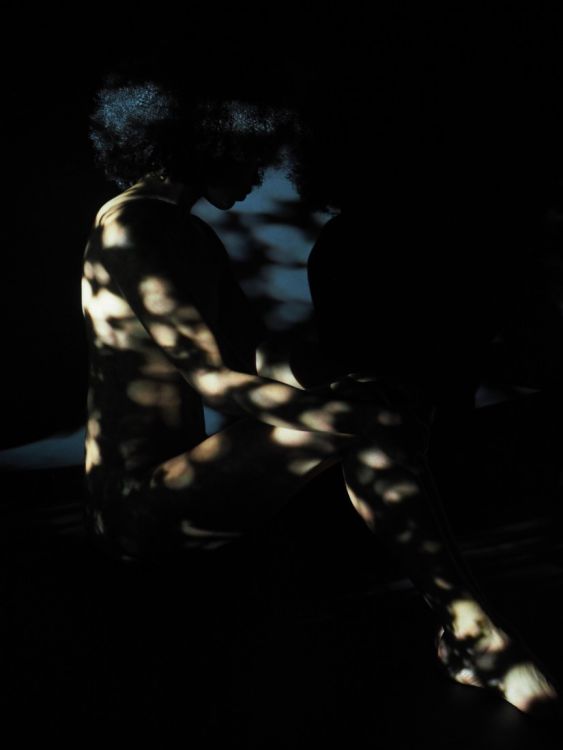 Jasmin Shadows