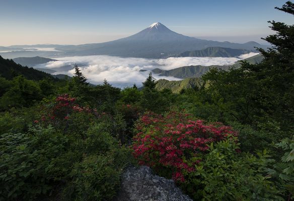 Amazing view of the morning