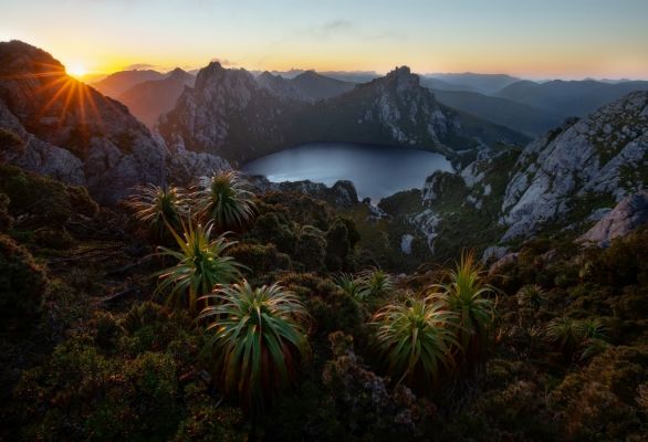 In the depths of Tasmania