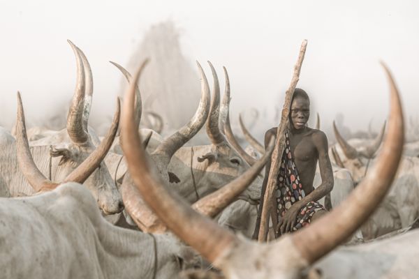 Mundari cattle herder