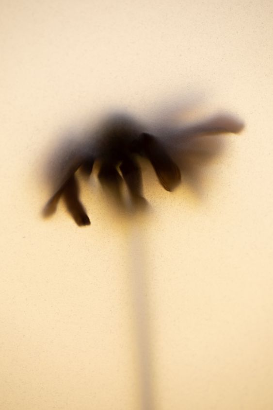 Withered Soul