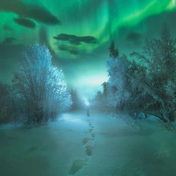 Aurora 