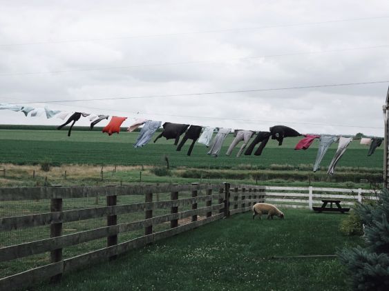 Amish Farm