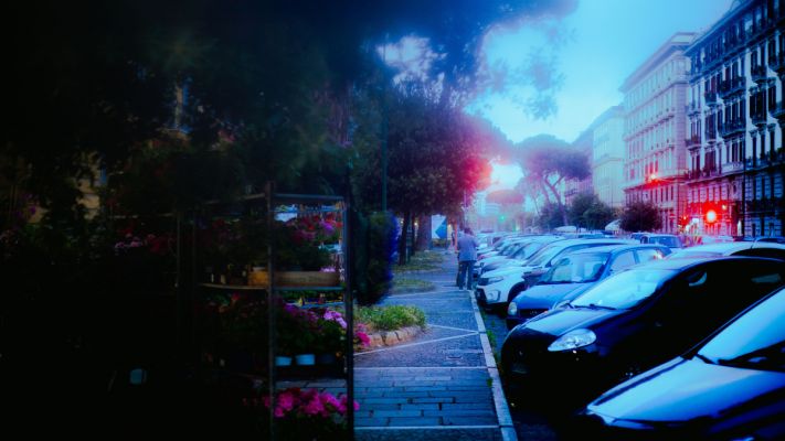 Unparticular beauty