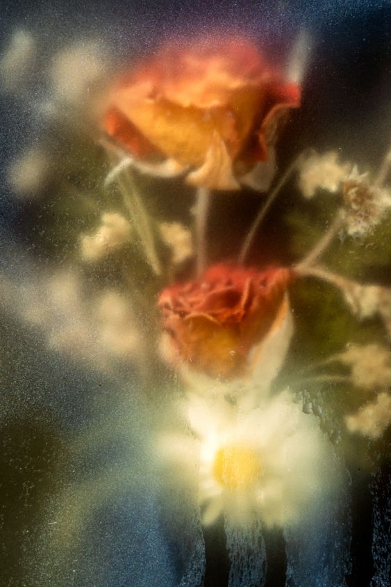Phantom Flowers