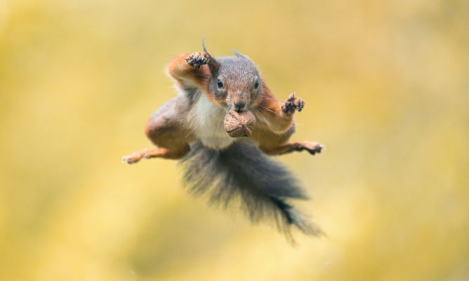 Jumping Superhero 