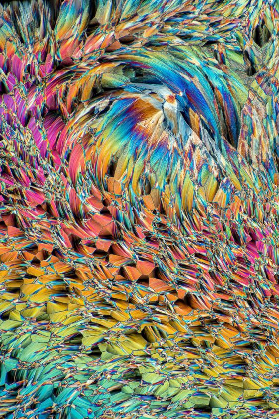 Microcrystals in polarised light.