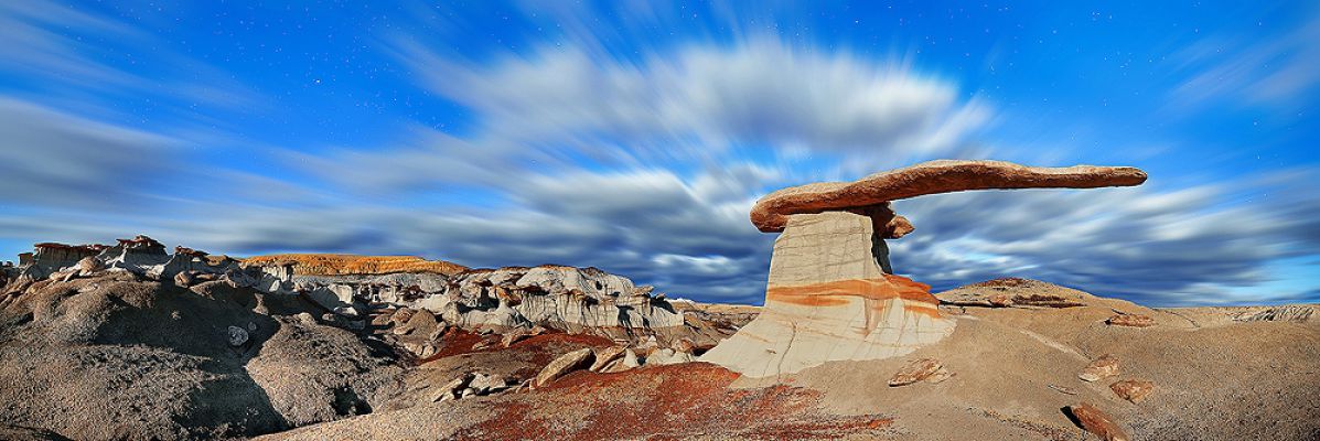 The King of Wings