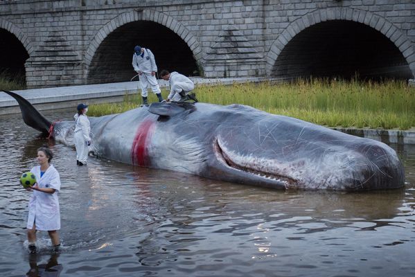 Don´t play with sea life