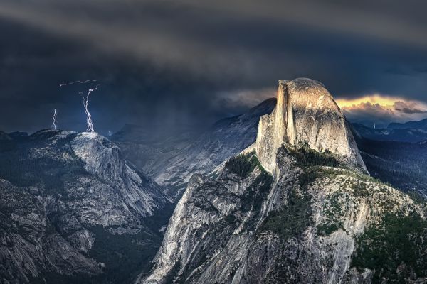 Force of Nature