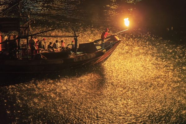 There are only a few sulfur fire fishing left 