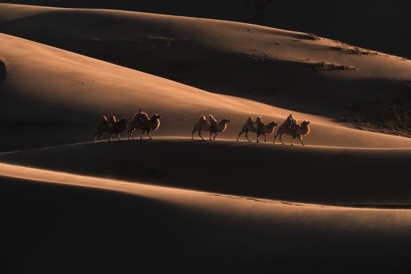 Footprints in the endless dunes