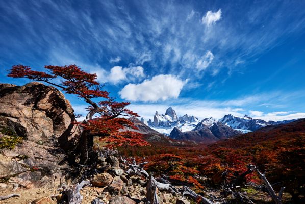 Autumn colours of the rough wilderness