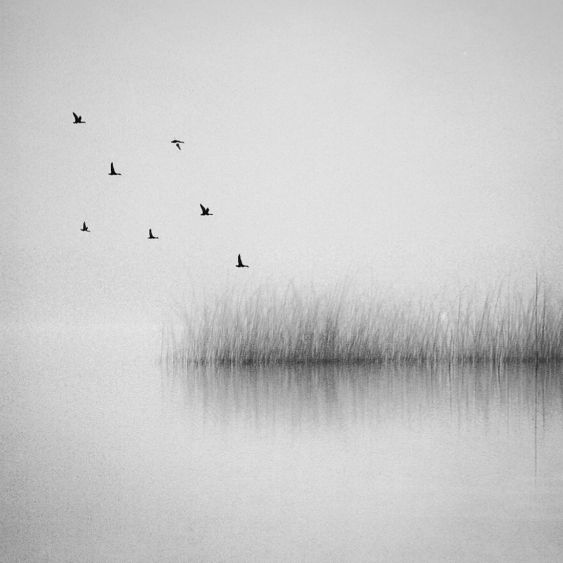 silence