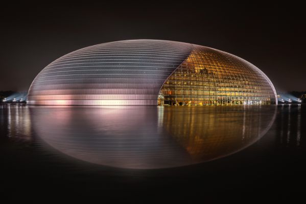 The Giant Egg