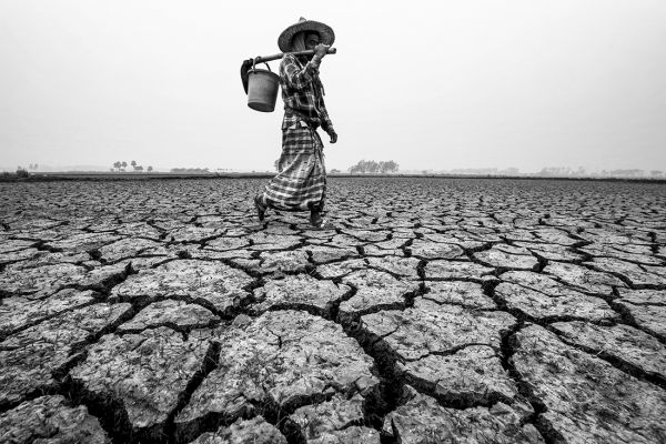 Tears of Drought