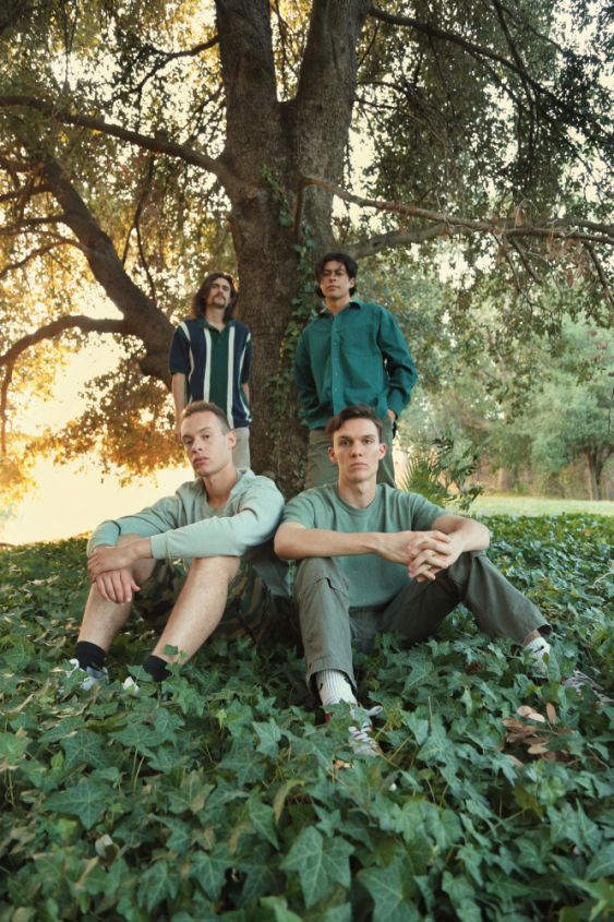 Organic Boy Band