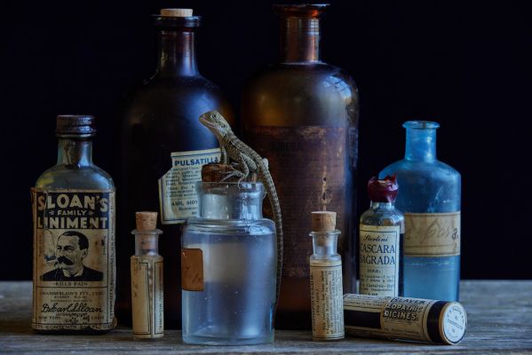 Live Still Life