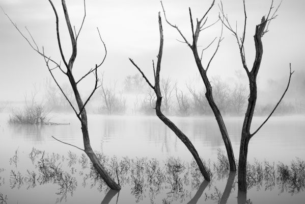 Little lake