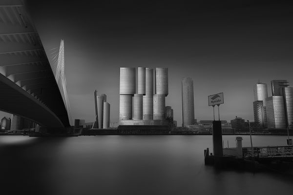 Archi Rotterdam