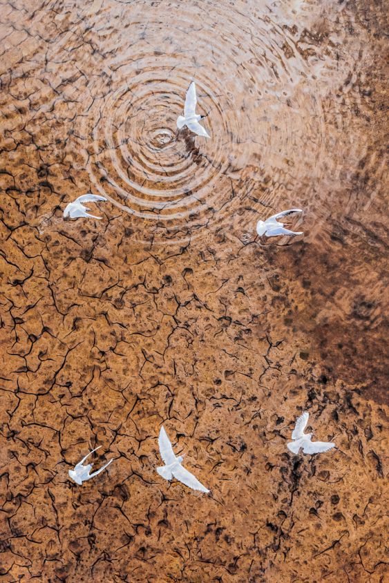 Cracked Waters