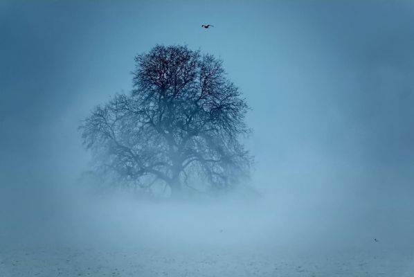 Melancholy 