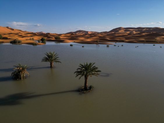 Sahara desert flood