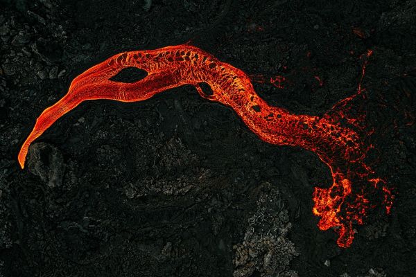 Vulture of Hell