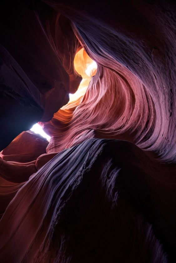 Treasures of the Antelope