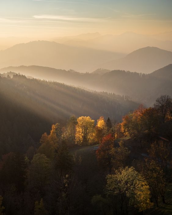 Autumn Sunset