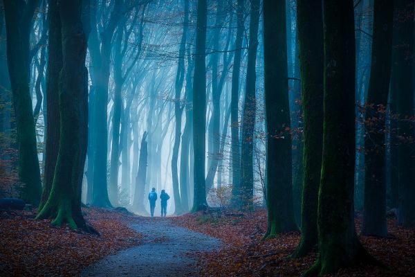 Path to the Unknown II